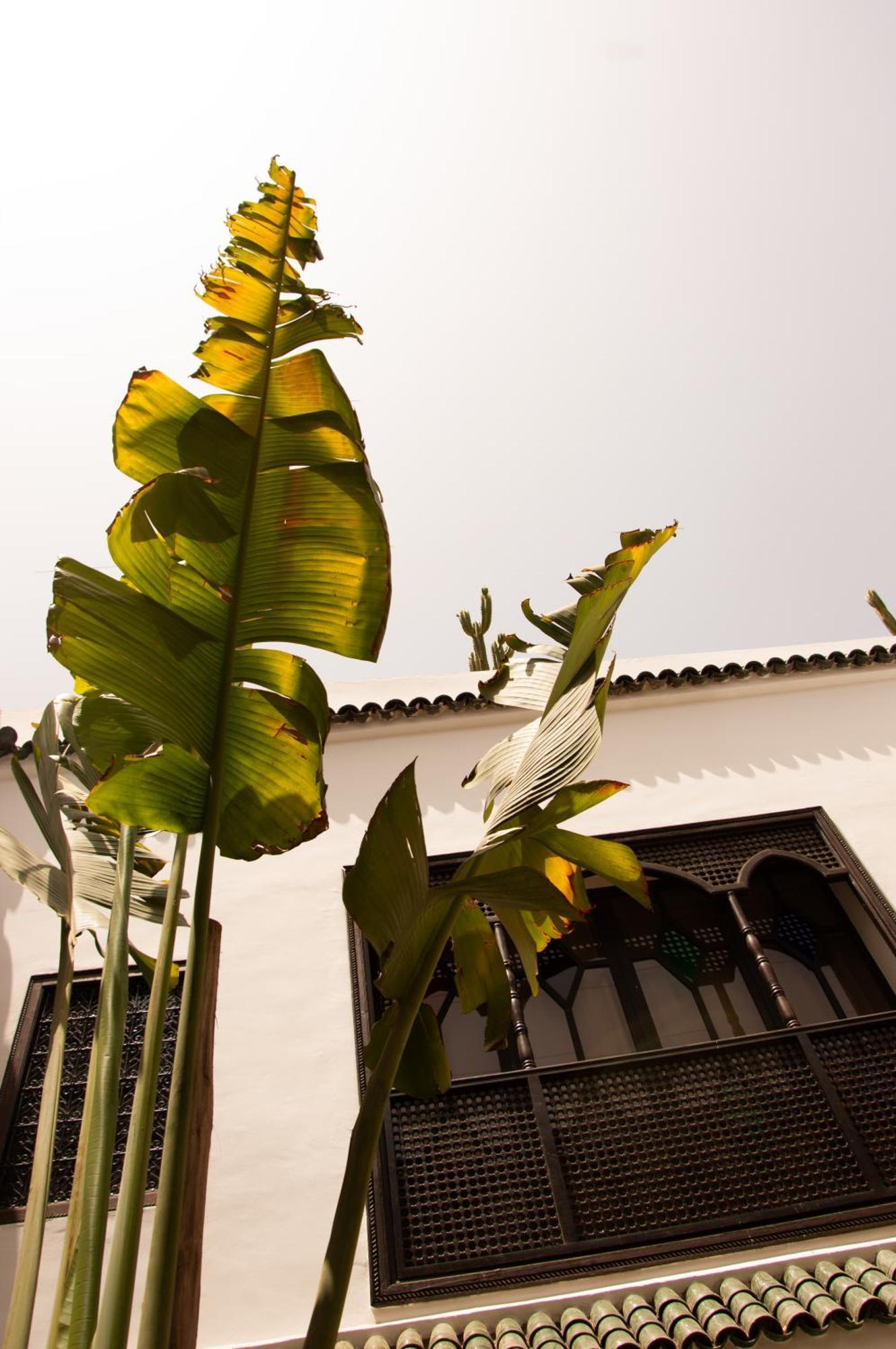 Dar El Mahja Bed and breakfast *